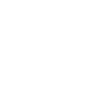 Expert Efficient Services